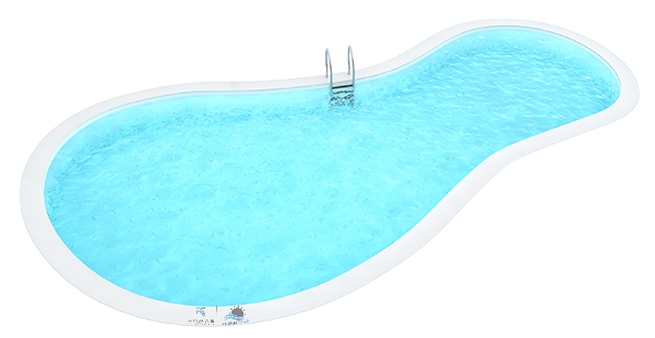 key features of freeform pools in Southwest Florida